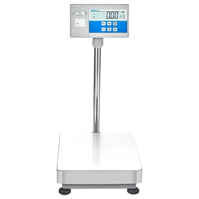 AE Adam Bodenwaage mit Hochanzeige und Einbaudrucker für Etiketten oder Barcodes 300 kg / Lesbarkeit 20 g