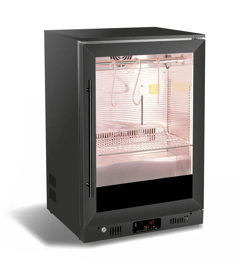 Combisteel Dry Age Schrank 138L