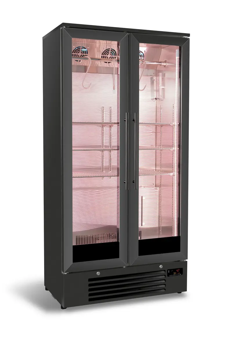 Combisteel Dry Age Schrank 458L