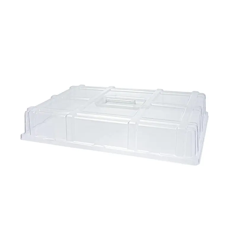SCHNEIDER TORTENHAUBE / ABDECKHAUBE - RECHTECKIG - PET TRANSPARENT