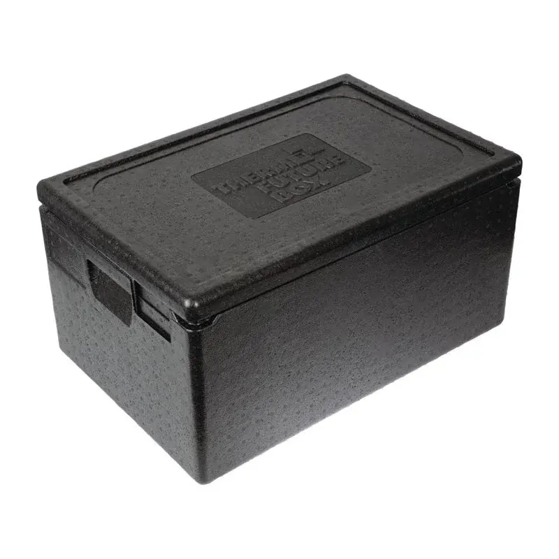 Thermo Future Thermobox PP Eco 46 Liter GN 1/1, von -40 bis +120 °C
