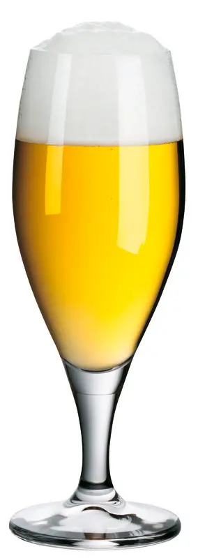 WMF Biertulpe MANHATTAN 0,3L | 6 Stück
