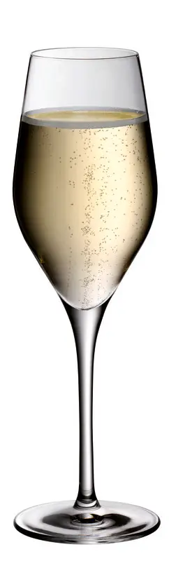 WMF Champagner DIVINE | 6 Stück