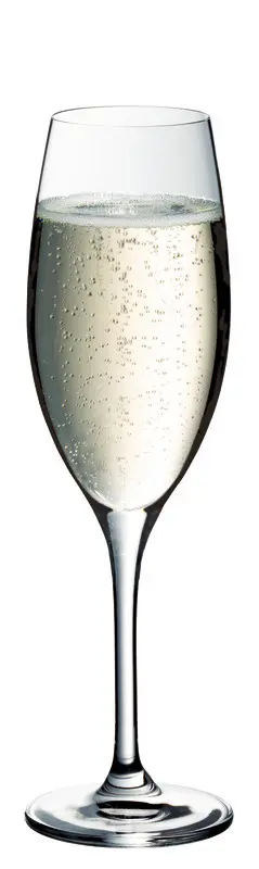 WMF Champagner ROYAL | 6 Stück