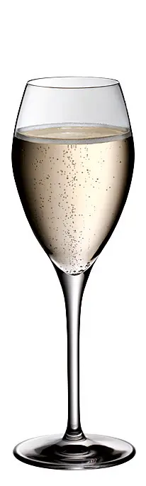 WMF Champagner SMART | 6 Stück
