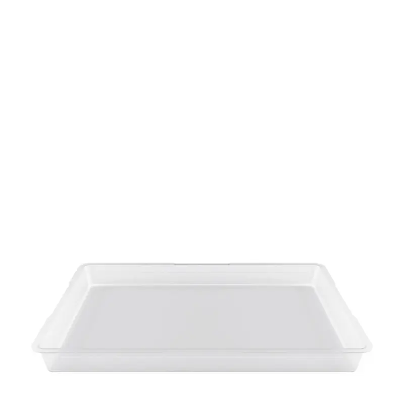 WMF Eiswanne QUADRO GN 1/1 - 55