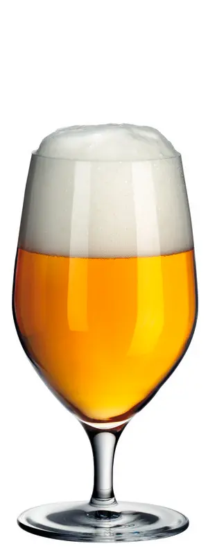 WMF Wasser-/Bierglas ROYAL 0,3 L | 6 Stück