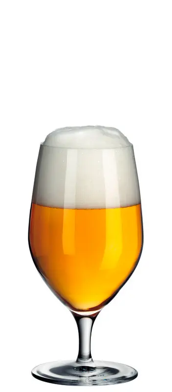 WMF Wasser-/Bierglas ROYAL | 6 Stück